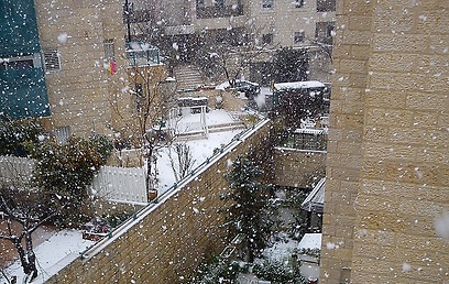 שלג ליד הר הרצל בירושלים (צילום: ארז שמואל) (צילום: ארז שמואל)