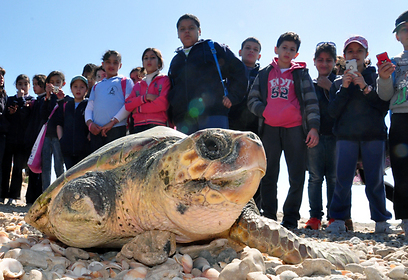 יניב לוי, רשות הטבע והגנים