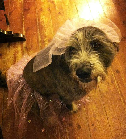 צילום: יהודית סיבוני צילום: יהודית סיבוני