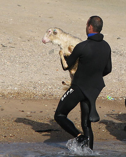צילום: סבסטיאן טריפולט