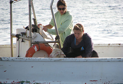 צילום: סבסטיאן טריפולט