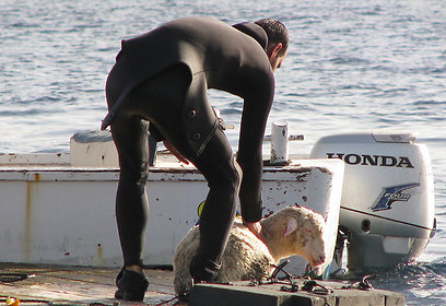 צילום: סבסטיאן טריפולט