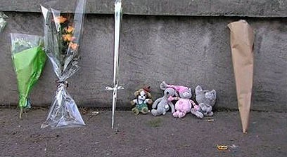 צילום: רויטרס צילום: רויטרס