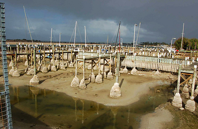 אפריל 2009. שרידי מרינה סמוך למוצא של מארי דארלינג אל הים (צילום: כריס האמר) (צילום: כריס האמר)