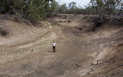 המארי דארלינג בנובמבר 2008. תוצאה של בצורת, סכרים וחקלאות (צילום: כריס האמר) (צילום: כריס האמר)
