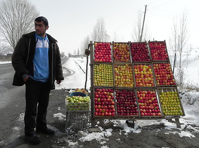 מתפרנסים ממה שיש. מוכר תפוחים על אם הדרך בארמניה (צילום: זיו ריינשטיין) (צילום: זיו ריינשטיין)