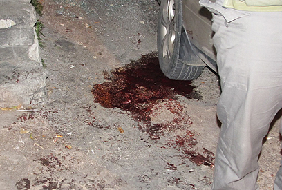 הלאל נאשף נרצח ברחוב הומה אדם בטייבה (צילום: אתר פאנט) (צילום: אתר פאנט)