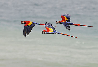 צילום: דורית בר-זכאי