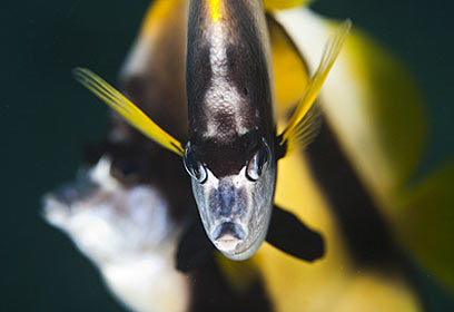 צילום: עופר כתר