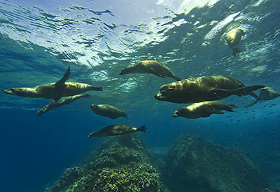 צילום: עופר כתר