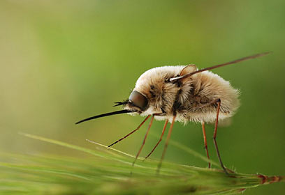 צילום: יובל חיימוב