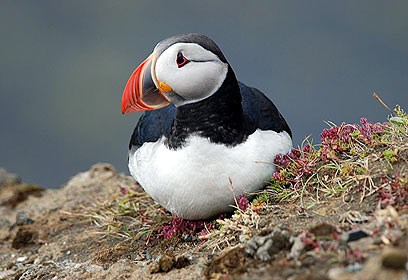 צילום: בתיה ברקמן