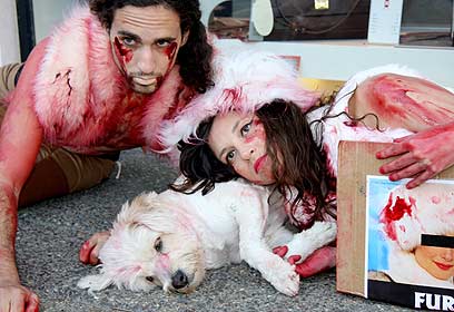 צילום: הקואליציה הבינ"ל נגד תעשיית הפרווה