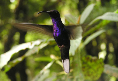 צילום: אהוד פיילר