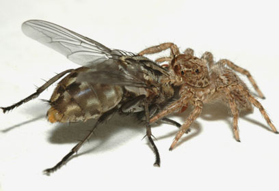 צילום: אלון עתני