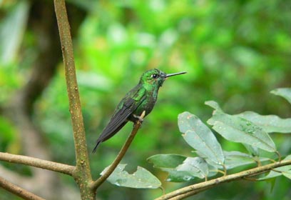 צילום: דגנית וולף