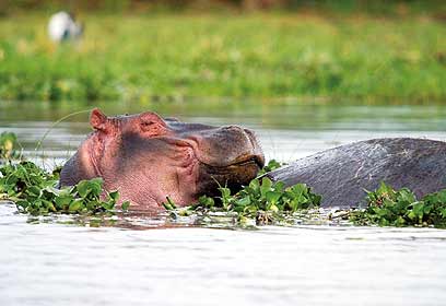 צילום: דני לרדו צילום: דני לרדו