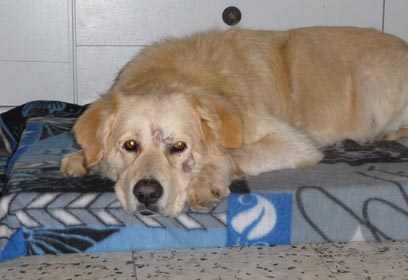 באדיבות משפחת בריל באדיבות משפחת בריל