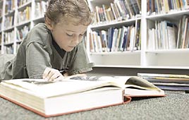 צילום: ויז'ואל/פוטוס