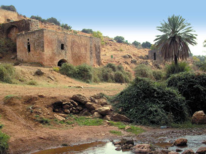 צילום: סמדר שיר צילום: סמדר שיר