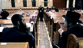 צילום: עופר עמרם צילום: עופר עמרם