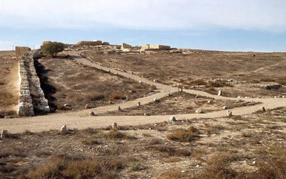 צילום: עדי אדר, החברה הכלכלית ערד צילום: עדי אדר, החברה הכלכלית ערד