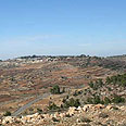 צילום: גילי סופר