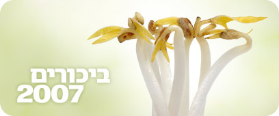 צילום: ויז'ואל/פוטוס צילום: ויז'ואל/פוטוס