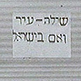 צילום: באדיבות הערוץ הראשון