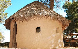 צילום: רפי עמירם