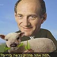 כמו אריק