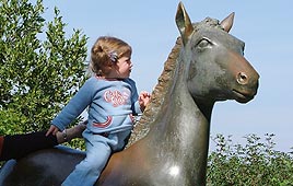 צילום: אריאל כרמון