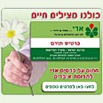 קוראקמפיין Ybay