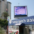 צילום: עופר עמרם