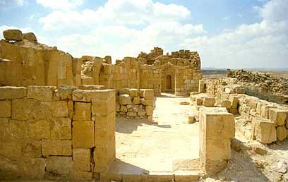 העיר העתיקה שבטה  (צילום: לביא ארצי, החברה להגנת הטבע) (צילום: לביא ארצי, החברה להגנת הטבע)