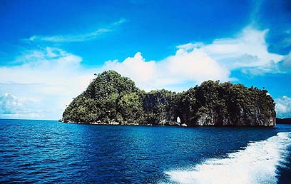 חלק מאיי מיקרונזיה (צילום: ויז'ואל/פוטוס) (צילום: ויז'ואל/פוטוס)
