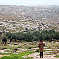 אזור מטעים בכפר סוסיא