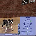 The Sims 2: Pets