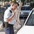 מצטרפים לכוחות האכיפה (ארכיון)