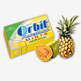 הטעם החדש של אורביט