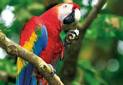 צילום: דוד מונסונגו צילום: דוד מונסונגו