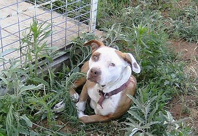 צילום: ציפורה הינמן