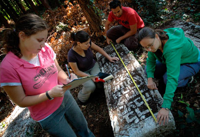 צילום: תומר אפלבאום