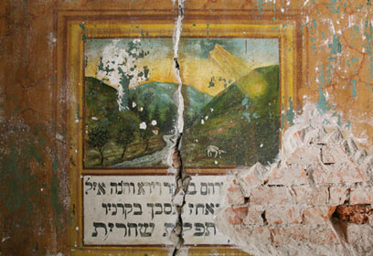 צילום: אריאל ויברמן