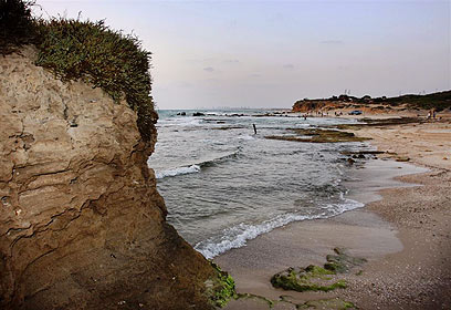 החוף הטבעי היחיד ללא עורף של עיר (צילום: אבי מועלם) (צילום: אבי מועלם)