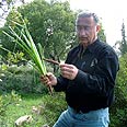 צילום: מיכל כרמון