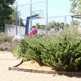 הגדר שפונה אל רחוב לכיש