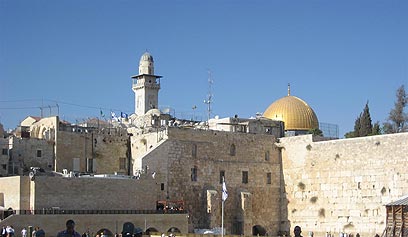 שיעור גבייה של 48.4% בלבד בירושלים (צילום: זיו ריינשטיין) (צילום: זיו ריינשטיין)