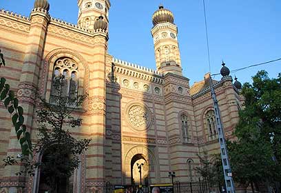 צילום: יואב פרידמן