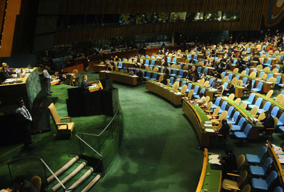 כמה יתמכו במדינה פלסטינית? (צילום: AFP) (צילום: AFP)